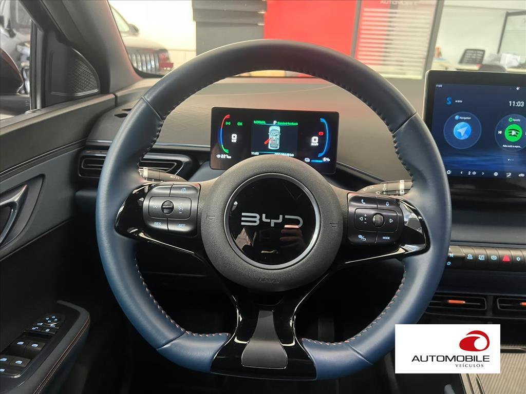 BYD DOLPHIN MINI - 10