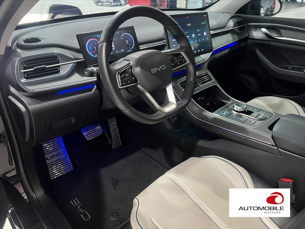 BYD KING - 13