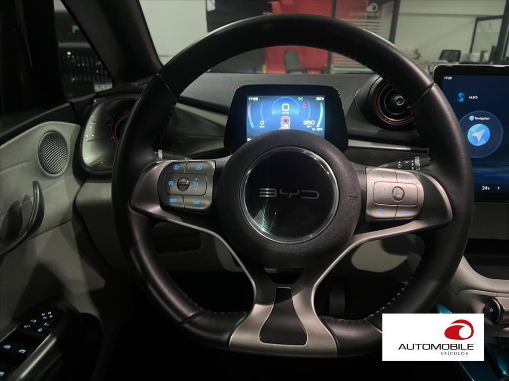 BYD DOLPHIN - 14